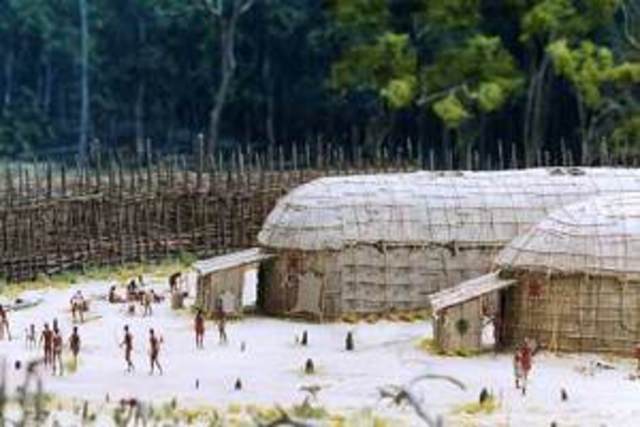 Iroquois Characteristics