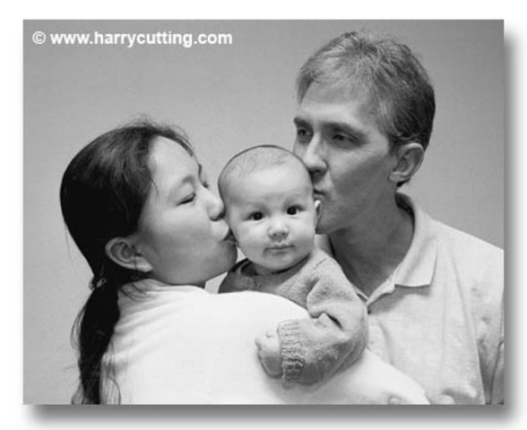 The Contemporary Canadian Family