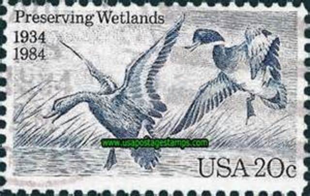 Migratory Bird Hunting Stamp Act
