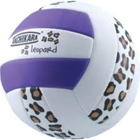 My 5th Year Playing Volleyball