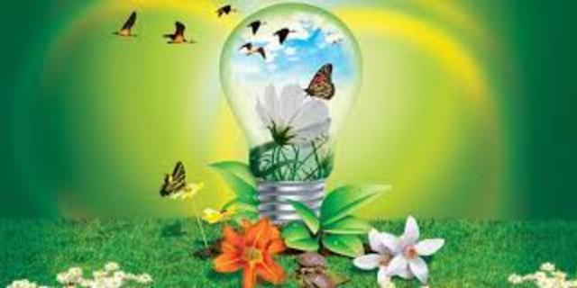 barker y wirght fundan  "The midwest psychological field fundation"