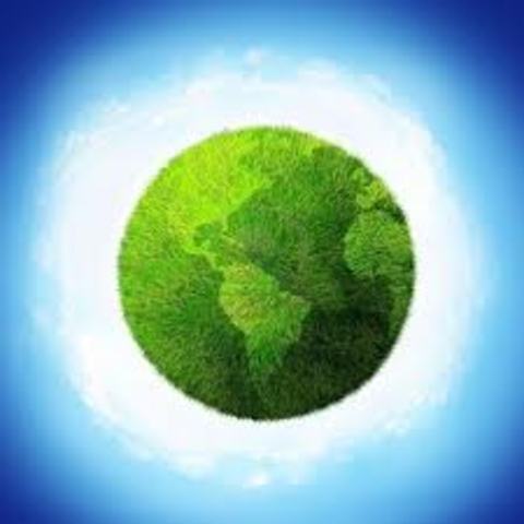 Existen grupos de psicologia ambiental en la APA