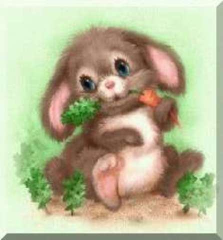 Bunny ate first carrot!