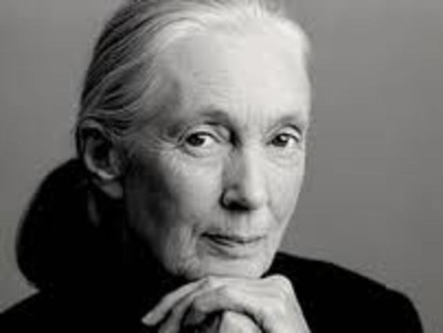 Jane Goodall