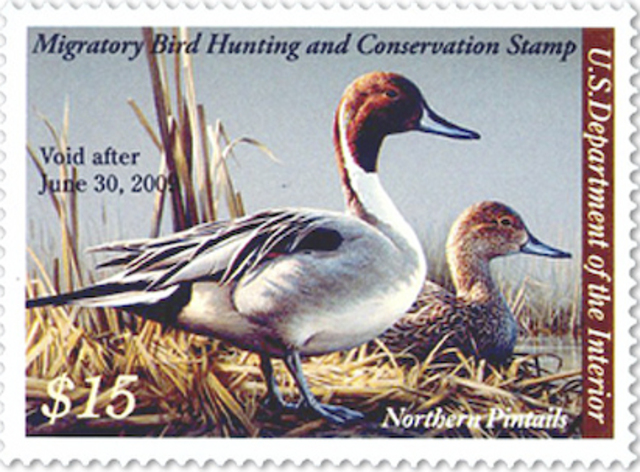 Migratory BIrd Hunting Stamp Act