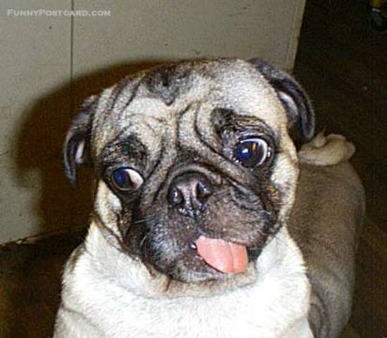 obedins class is over