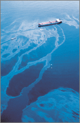 Exxon Valdez
