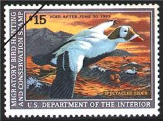 Migratory Bird Hunting Stamp Act