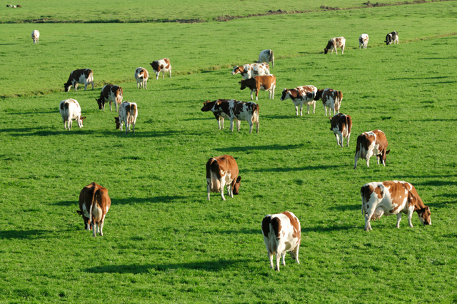 Taylor Grazing Act