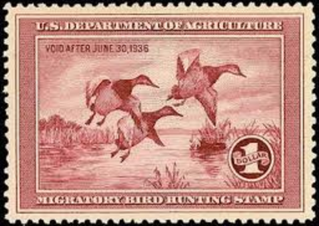 Migratory Bird Hunting Stamp