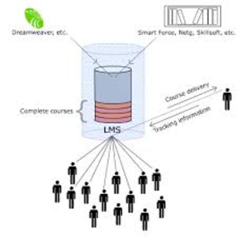 E-learning: Learning Management Systems (LMSs)