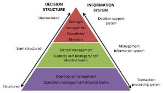 Management Information System