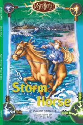 Storm Horse by Maree Stewart