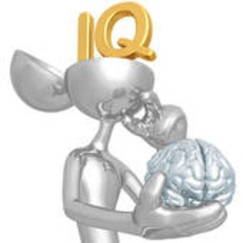 Stanford-Binet IQ test