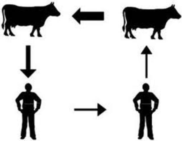 Vacunacion contra la Tuberculosis