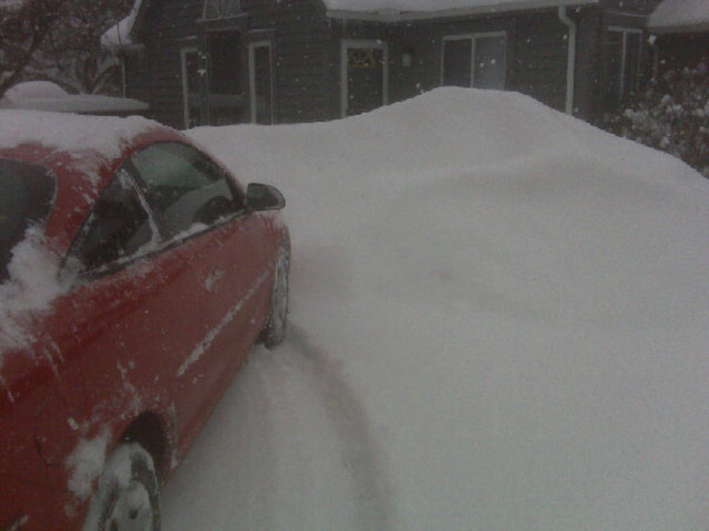My first car and Driver's License!