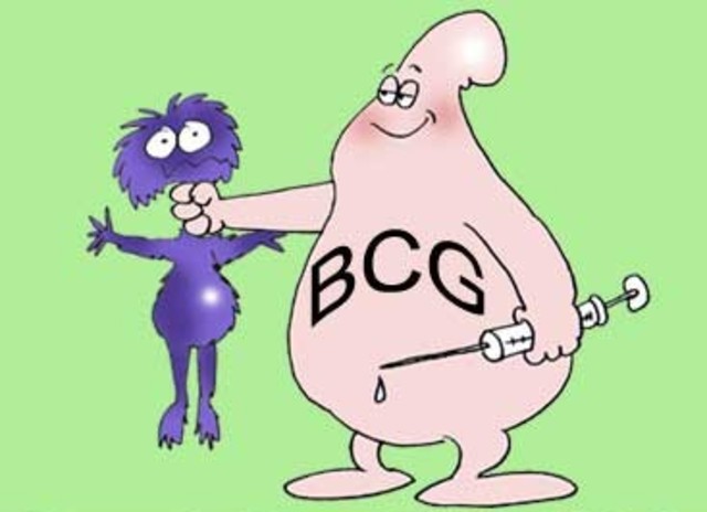 Primera vacuna contra la tuberculosis