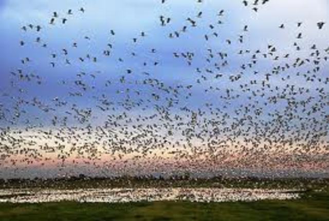 First national wildlife refuge established