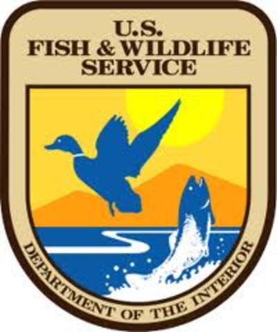 Fish and Wildlife Service founded