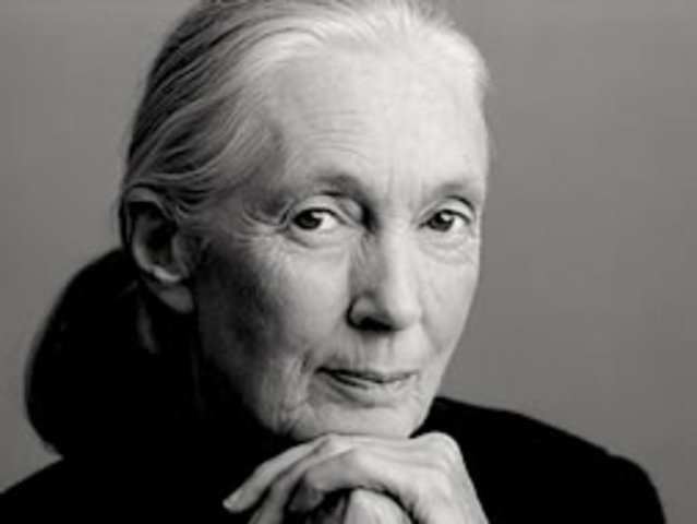 Jane Goodall