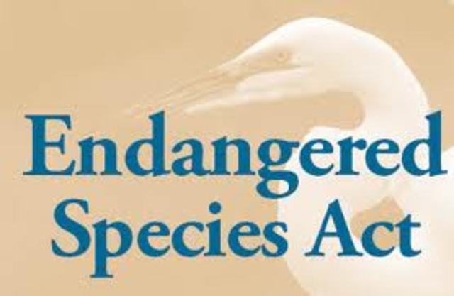 Endagered Species Act