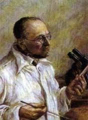 Primer laboratorio clinico