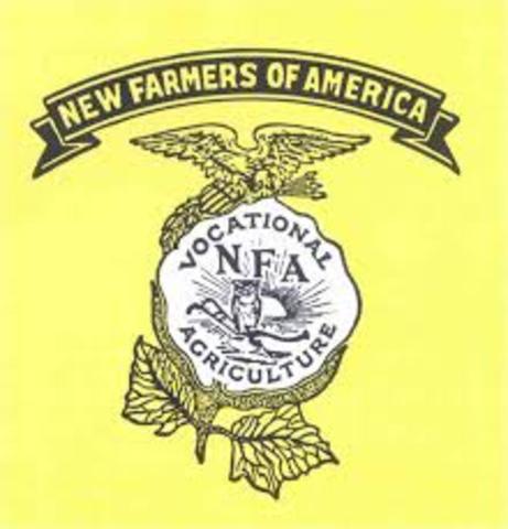 NFA Establishment