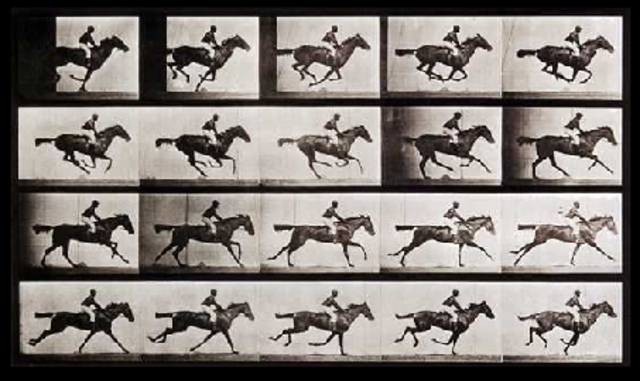 Gelatin Dry Plate Silver Bromide Process