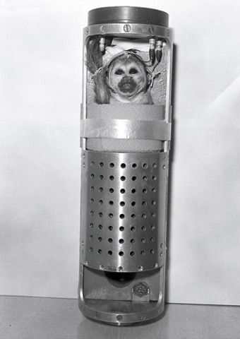 Monkeying around in Space