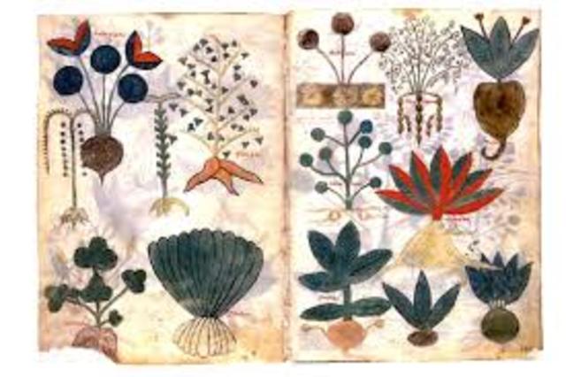 primer compendio farmacologico