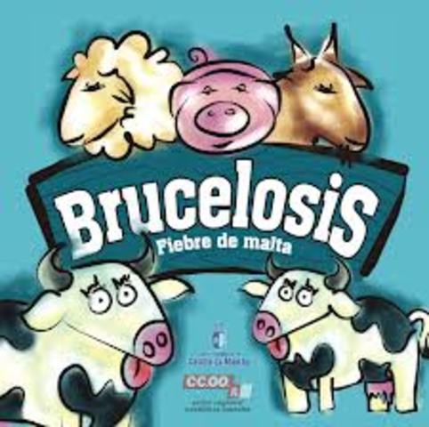 Brucelosis