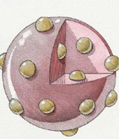 J.J Thomson Model Plum Pudding Atomic Model