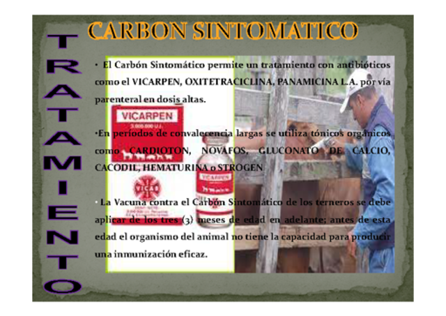 carbon sintomatico0