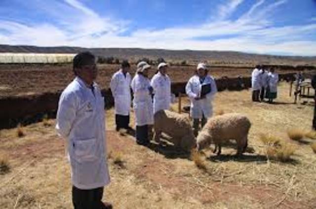 veterinarios rurales