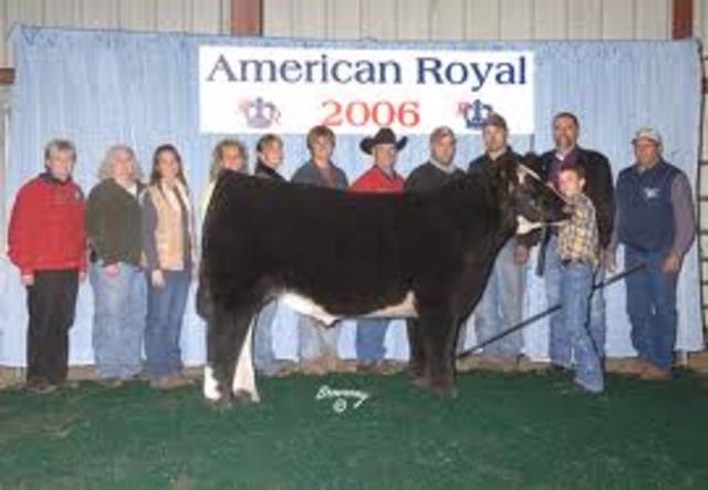 American Royal Livestock Show