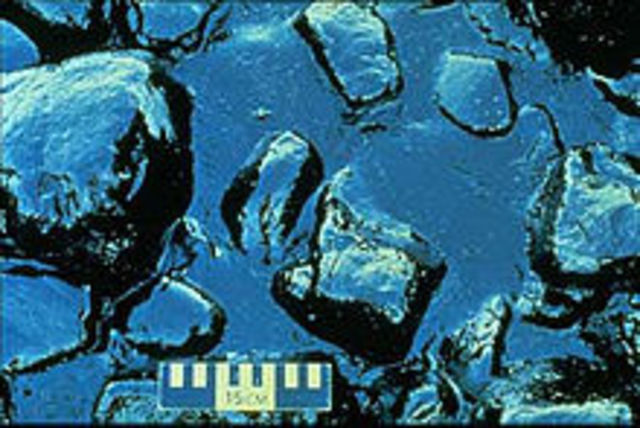 The Exxon Valdez Oil Spill