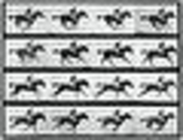 Origins of the Moving Pictures