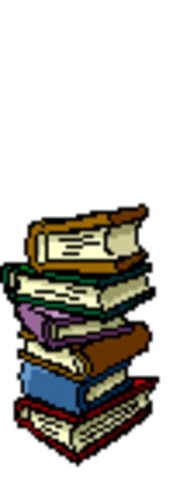 Began college at NMSU