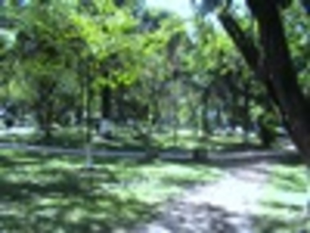 CIUDAD DE PARQUES