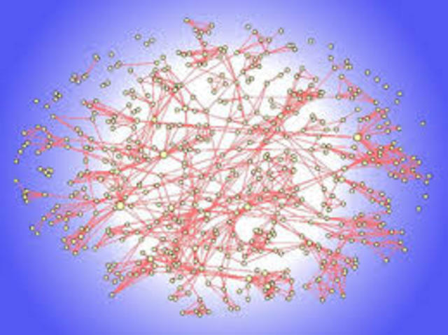 Contingent Complex Enironment Structure