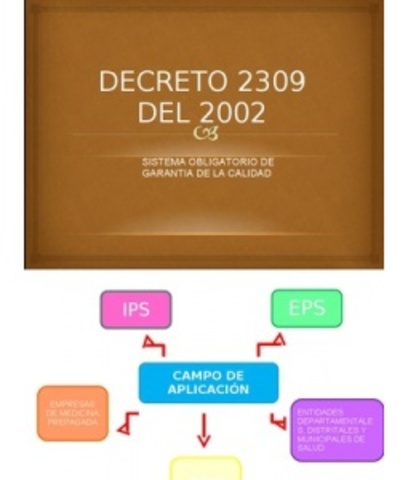 Decreto 2309 de 2002