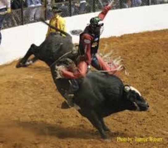 my one thing that i think is important.