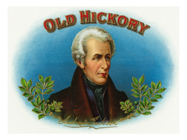 President Andrew Jackson