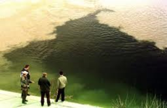 Baia Mare Cyanide Spill