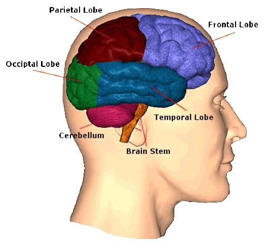 Herbert Simon's "Administrative Behavior"