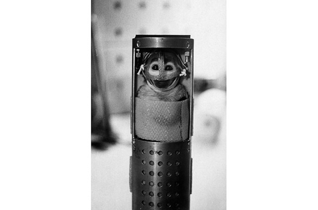 Being Gordo shouldn't slow you down