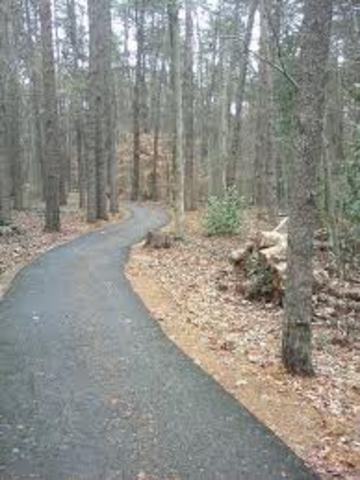 Battle of Guilford Courthouse