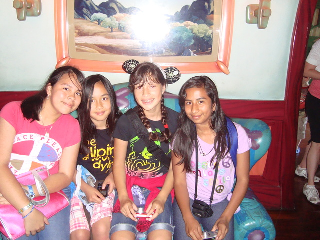 Went to Disneyland with my friends