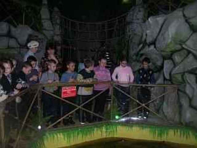 Крокодиловая ферма