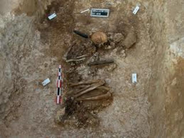 creacion de la paleopatología